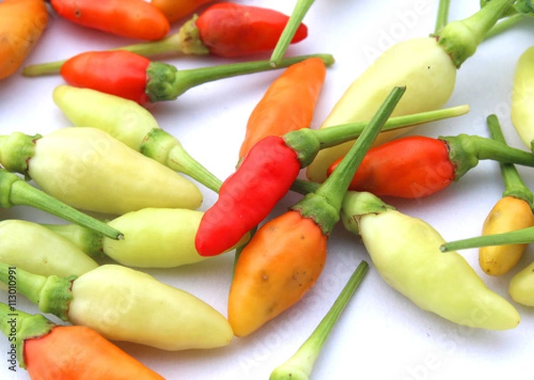 Obraz Red Chilli Dry isolated on white background