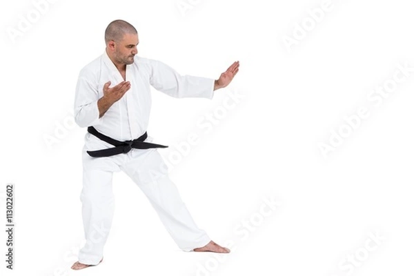 Obraz Fighter performing karate stance