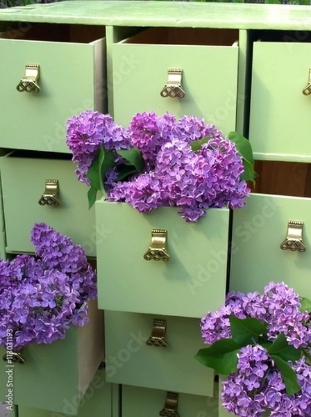 Fototapeta цветы сирени в ящике зеленого комода