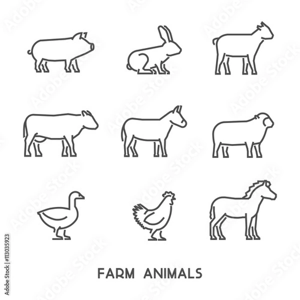 Fototapeta Vector line farm animals with open path