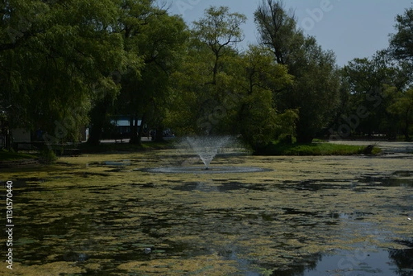 Fototapeta Beautiful algae pond with fountain on a summer day on Toronto Island