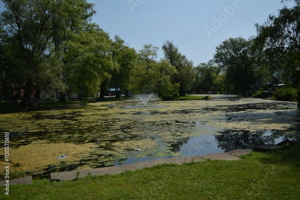 Fototapeta Beautiful algae pond with fountain on a summer day on Toronto Island