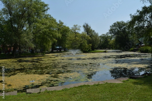 Fototapeta Beautiful algae pond with fountain on a summer day on Toronto Island