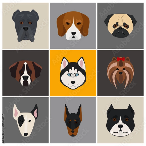 Fototapeta Dogs color flat set icon