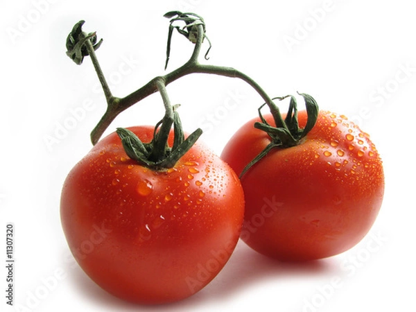 Obraz Tomatoes