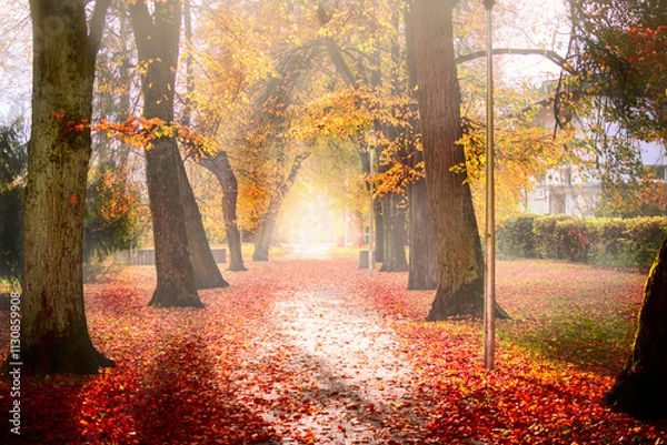 Fototapeta Kolory jesieni