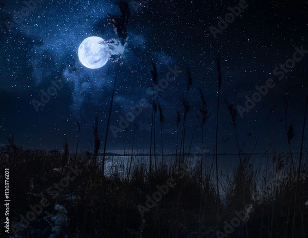 Fototapeta księzycowa noc nad jeziorem