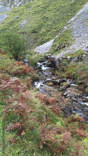 Obraz mountain stream in autumn