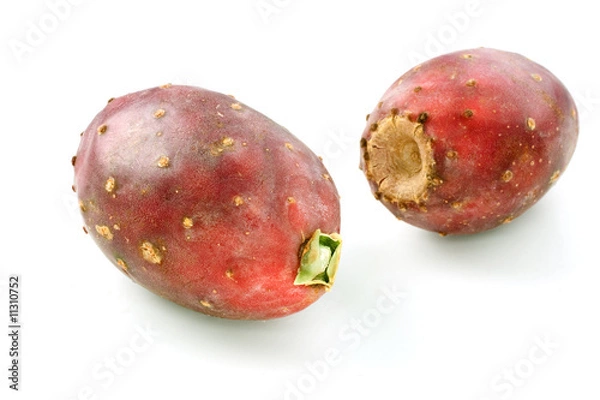 Obraz Two Cactus Pears