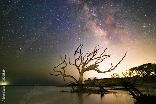 Obraz The Milky Way over Driftwood Beach on Jekyll Island, Georgia.