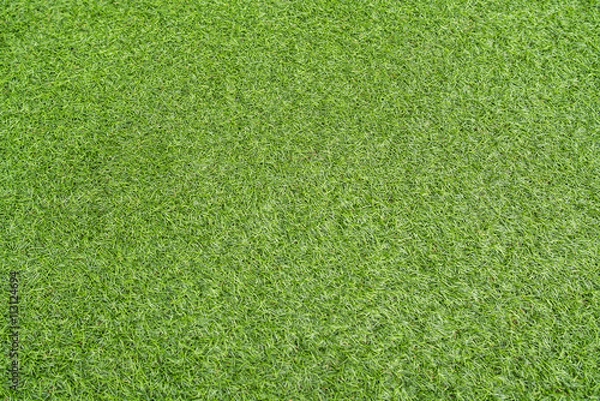 Fototapeta Top view of Artificial green grass - copy space