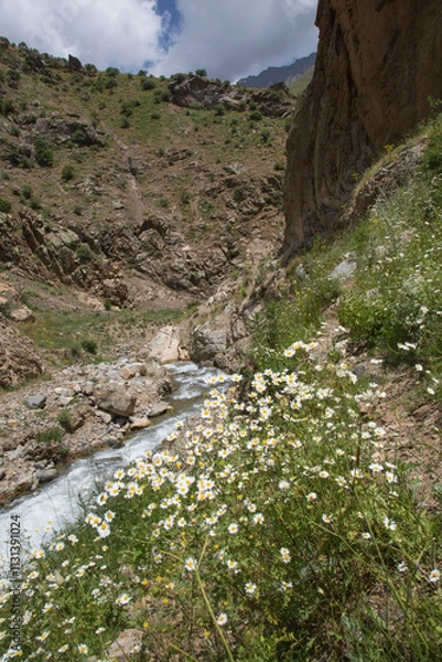 Fototapeta mountain river