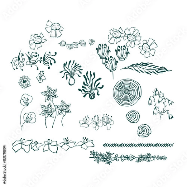 Fototapeta doodle flowers leaves vector design frame elements set modern minimalistic