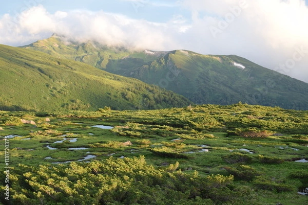 Fototapeta 北アルプスの秘境雲ノ平の夕暮れ