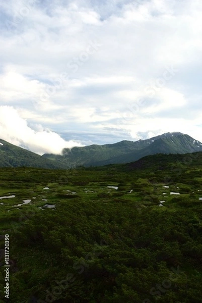 Obraz 北アルプスの秘境雲ノ平の夕暮れ