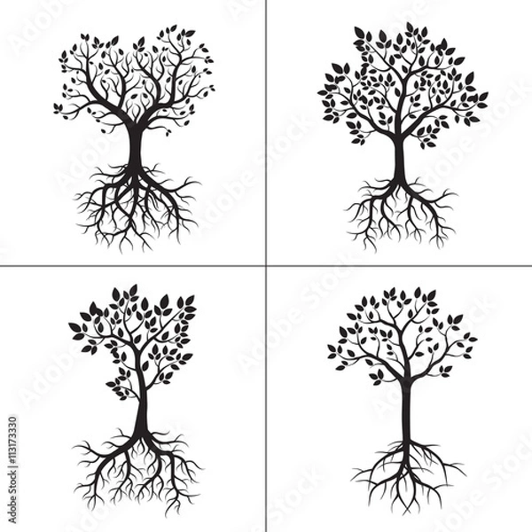 Fototapeta Shape of Trees, Roots and Leafs. Vector Illustration.