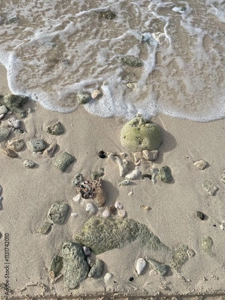 Obraz sand beach and sea with rocks