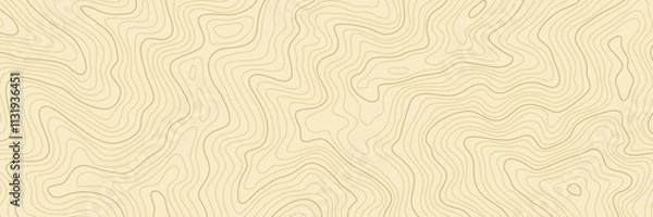 Obraz トポグラフィーの背景素材。自然や登山、キャンプなどのデザインに使える地形図素材