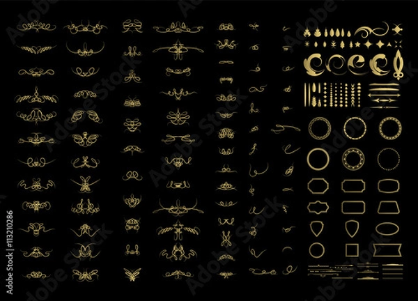 Obraz Calligraphic design elements and wicker lines in vector