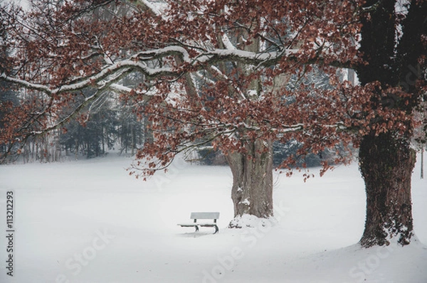 Fototapeta Winter in Tutzing