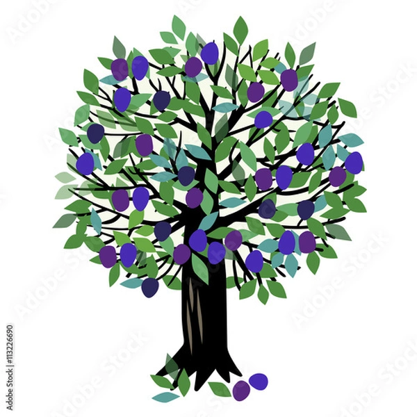 Obraz Illustration Plum tree