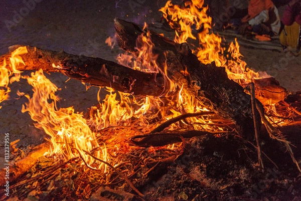 Obraz Bonfire in the still of night.