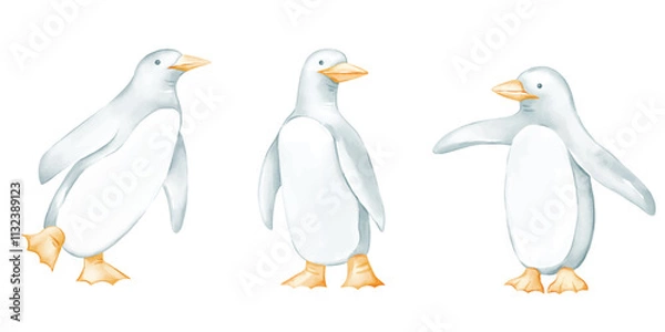 Fototapeta penguin illustration in watercolor style suitable for winter