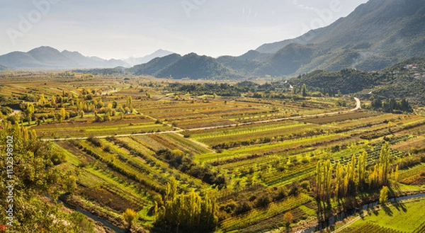 Obraz Weingärten bei Vrgorac, Dalmatien, Kroatien