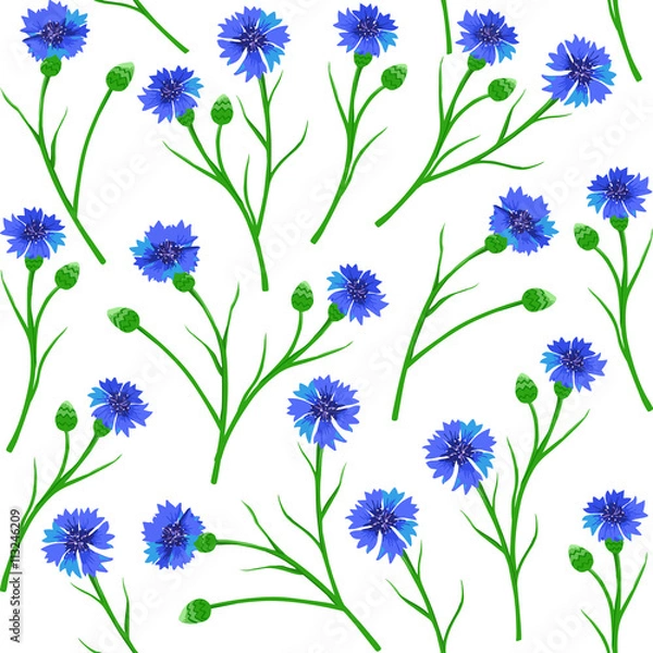 Fototapeta Seamless pattern with blue cornflowers. Vector Illustration