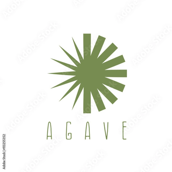 Fototapeta vector design template of the agave plant