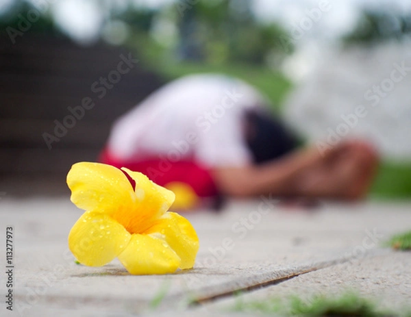 Obraz Yoga in the garden