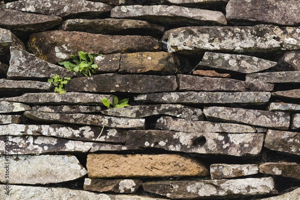 Fototapeta brick house