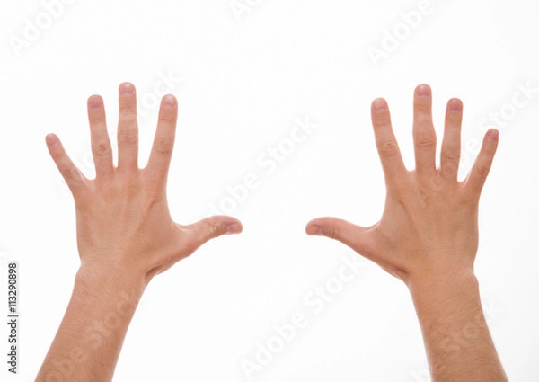 Obraz Two male hands
