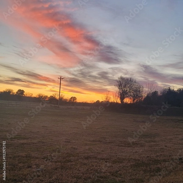 Fototapeta sunset over the field