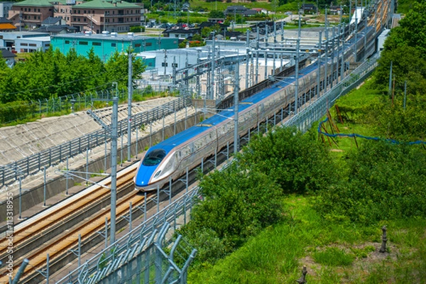 Fototapeta 新幹線の見える丘公園