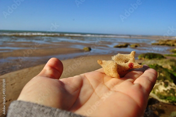 Obraz Mano con esponja marina