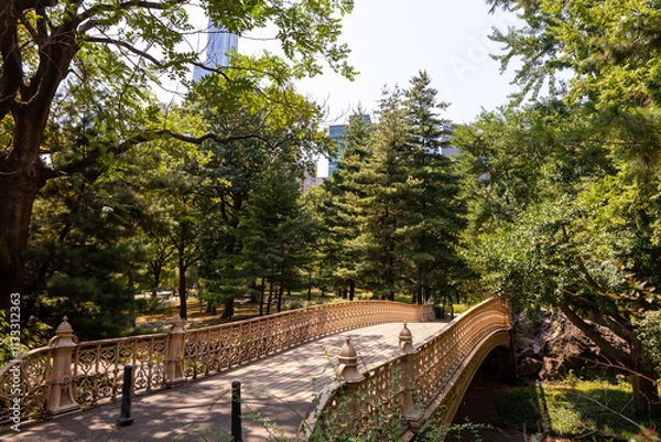 Obraz A picturesque view of a decorative bridge in Central Park, New York City