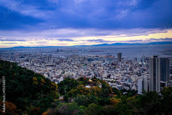 Fototapeta Japan cityscape
