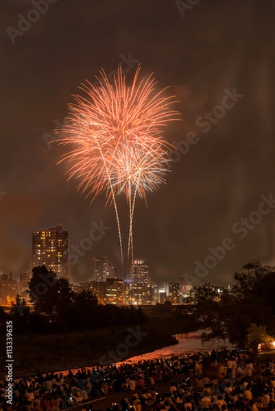 Fototapeta 打ち上げ花火