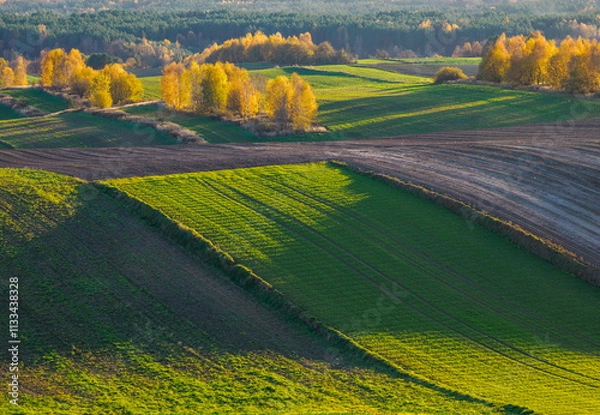 Obraz An autumn agricultural landscape.. Here is an image depicting an autumn agricultural landscape with picturesque fields, trees in fall colors, and a peaceful rural setting. Roztocze. Poland.