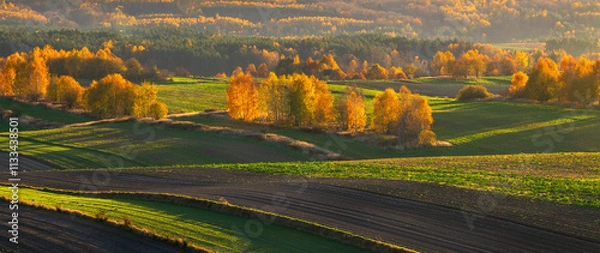 Obraz An autumn agricultural landscape.. Here is an image depicting an autumn agricultural landscape with picturesque fields, trees in fall colors, and a peaceful rural setting. Roztocze. Poland.