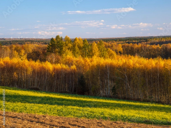 Obraz An autumn agricultural landscape.. Here is an image depicting an autumn agricultural landscape with picturesque fields, trees in fall colors, and a peaceful rural setting. Roztocze. Poland.