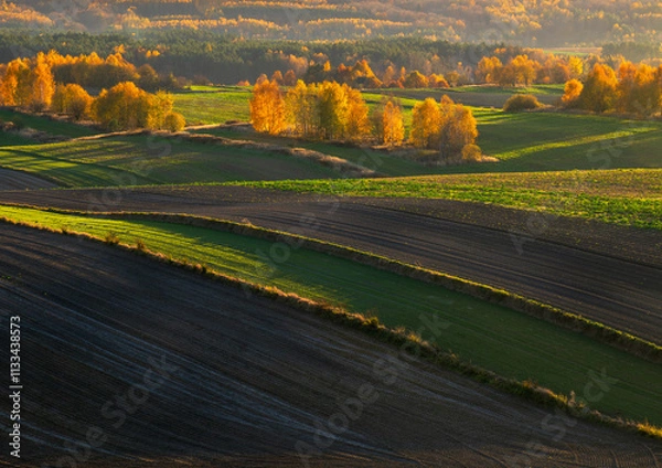 Obraz An autumn agricultural landscape.. Here is an image depicting an autumn agricultural landscape with picturesque fields, trees in fall colors, and a peaceful rural setting. Roztocze. Poland.