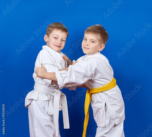 Obraz Two athletes train judo techniques