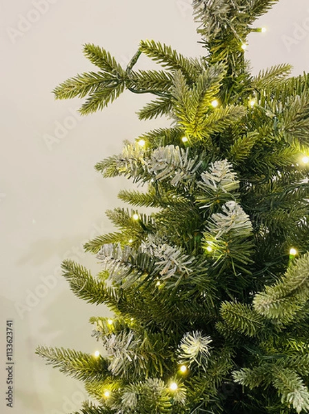 Obraz Christmas Tree Branches and Lights