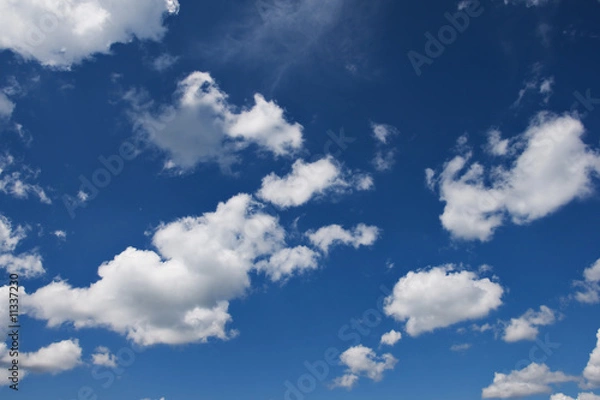 Obraz sky with white couds