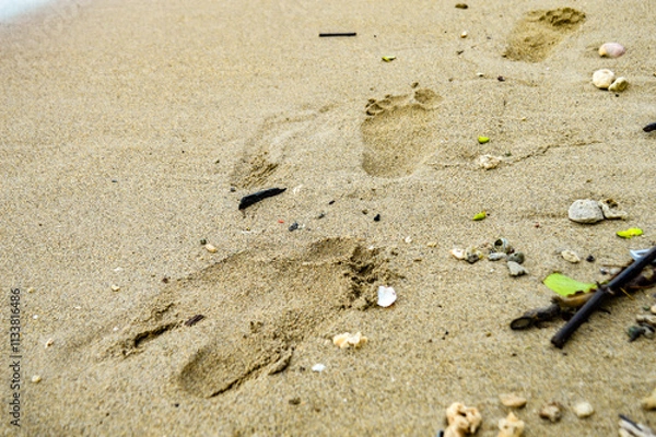 Fototapeta Man walks on the beach and leaves footprints on the beach sand. Focus on footprint, Noisy, exposure, similar others