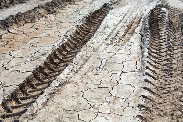 Obraz Tire prints in mud