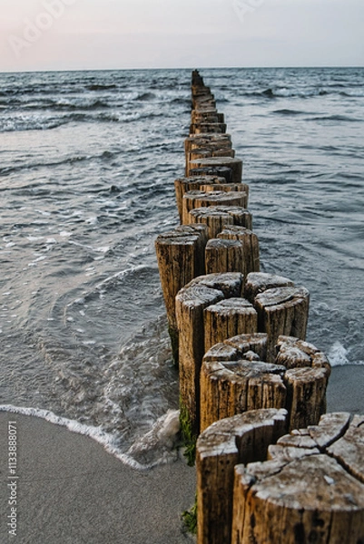 Obraz Pfad ins Wasser