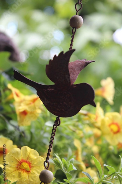 Obraz bird in nature